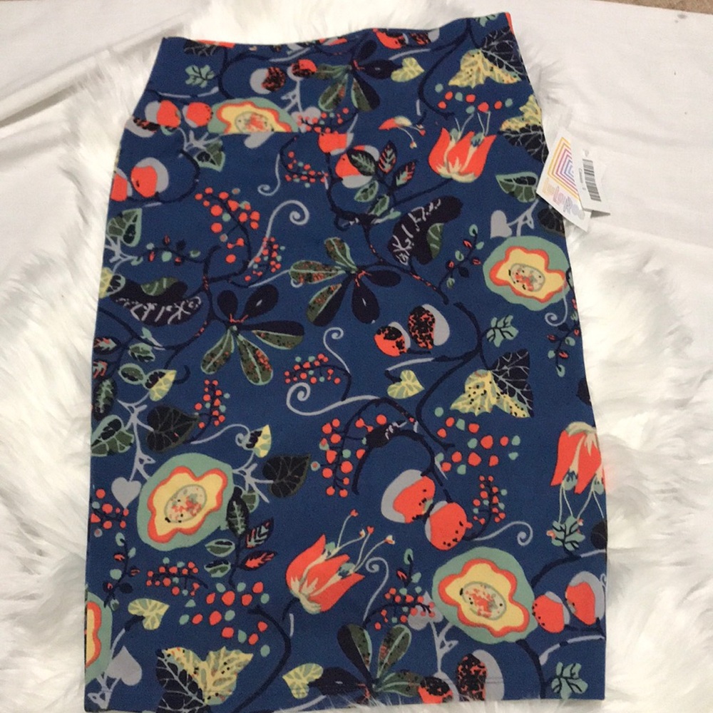 Lularoe Cassie skirt